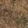 Tailleslip in het Lichen