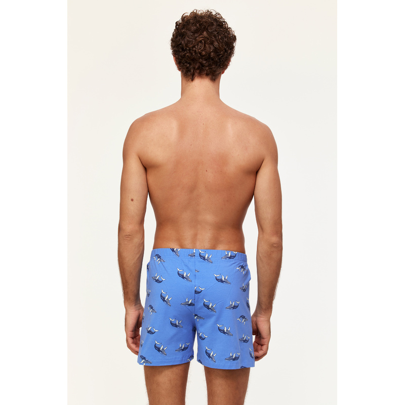 Heren Short in het Walvis