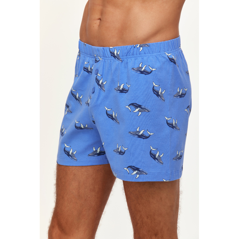Heren Short in het Walvis