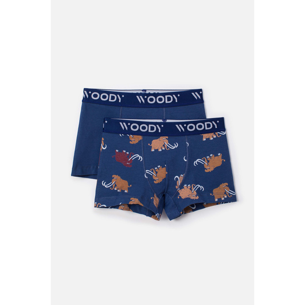 Jongens Duopack Boxer - Woody