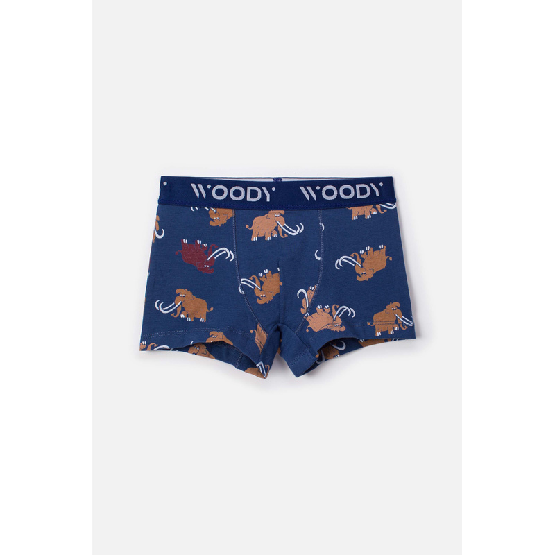 Jongens Duopack Boxer en Bleu