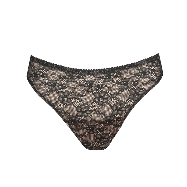 String - Prima Donna - Livonia