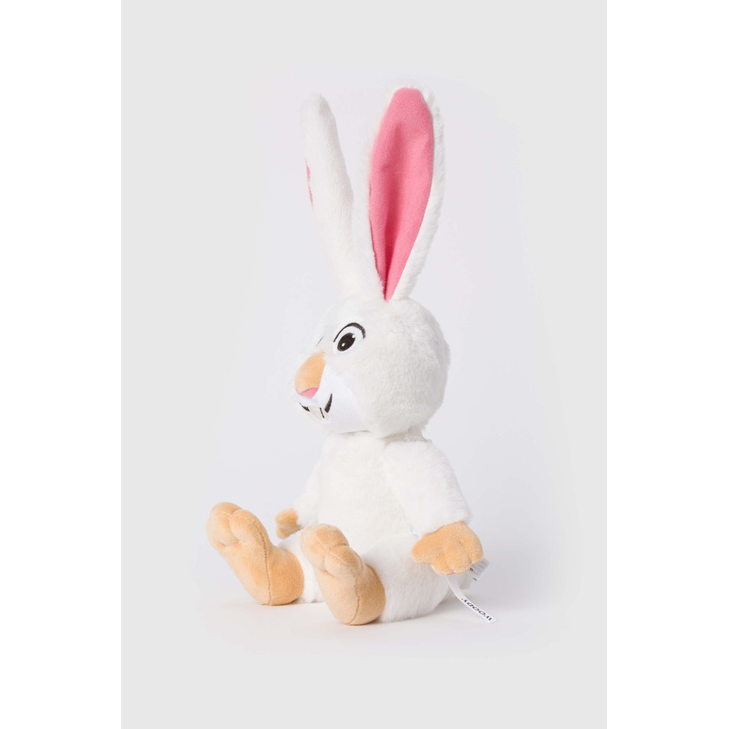 Kleine Knuffel in het Sneeuwschoenhaas