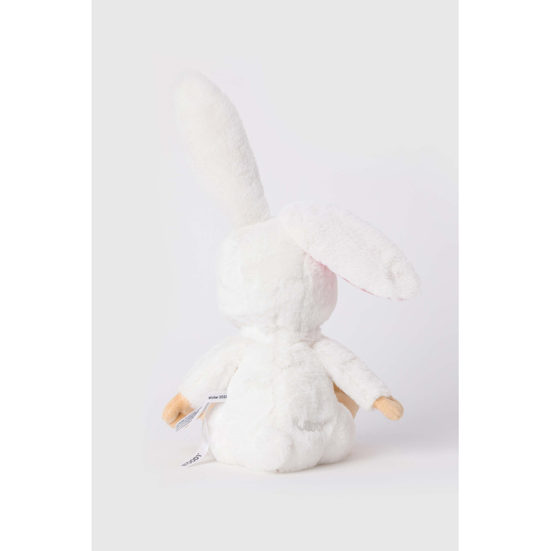 Kleine Knuffel in het Sneeuwschoenhaas