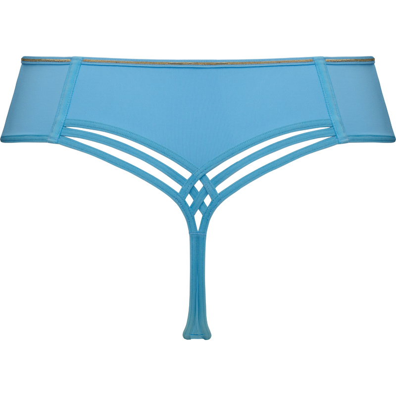 String in het Baltic sea and gold String in het Baltic sea and gold