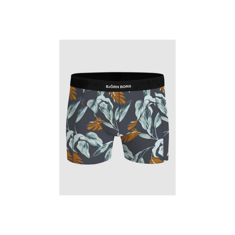 2-pack Boxershorts en Print