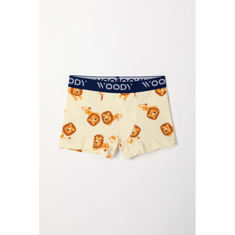 Jongens Boxer Duopack en Groen