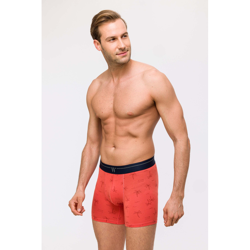 Heren Boxer Duopack en Palmbomen Heren Boxer Duopack en Palmbomen