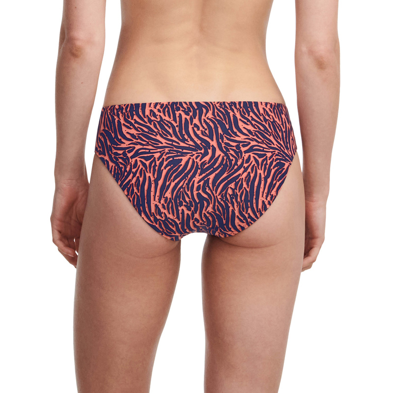 Bikinislip in het Zebra