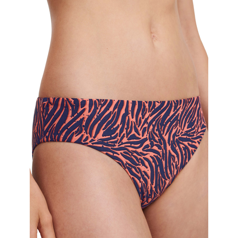 Bikinislip in het Zebra