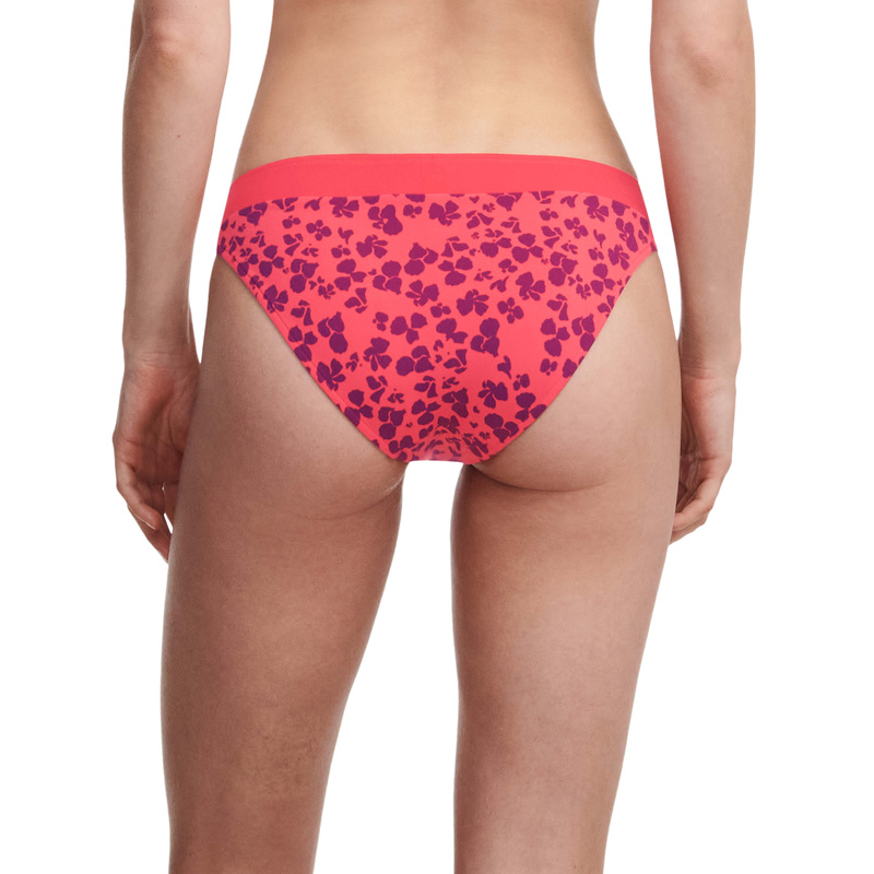 Bikinislip in het Hibiscus