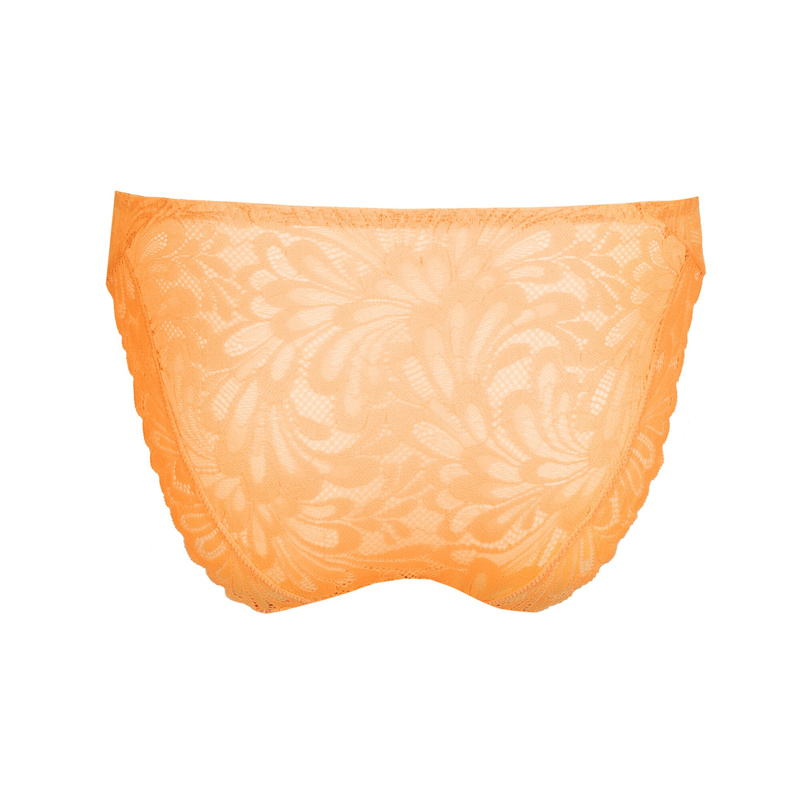 Rioslip in het Sunny day