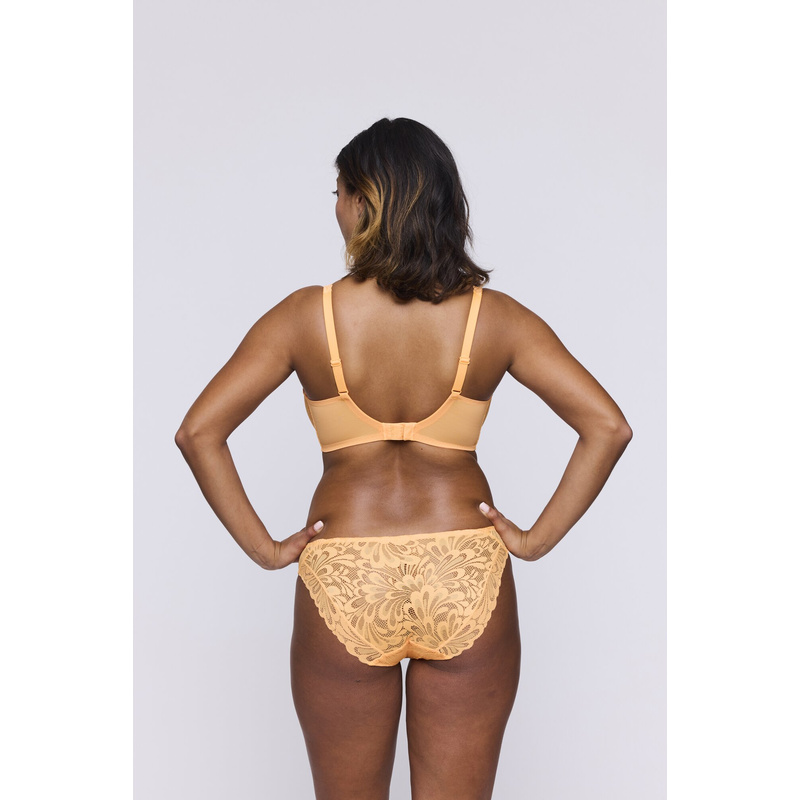 Rioslip in het Sunny day