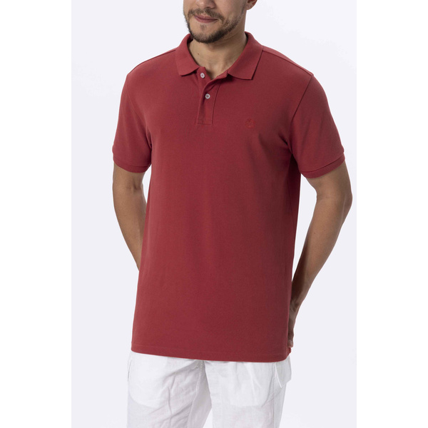 Polo - David - Camerelle