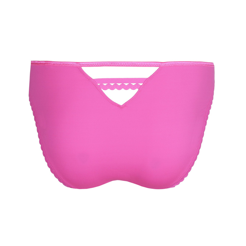 Rioslip en Cactus flower