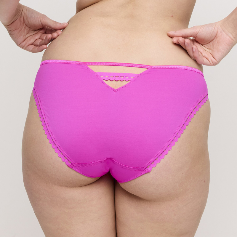 Rioslip en Cactus flower