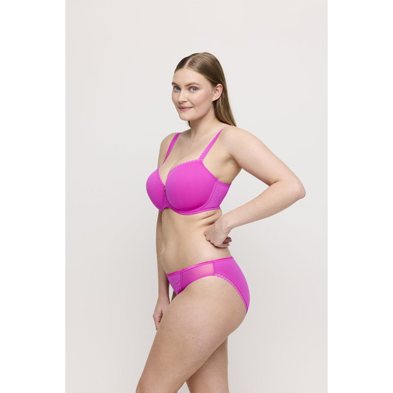 Rioslip en Cactus flower