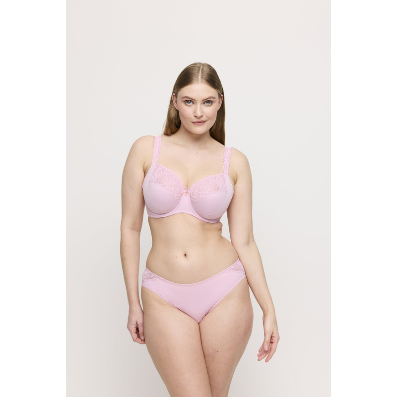 Rioslip in het Spring rose