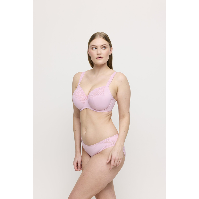 Rioslip in het Spring rose