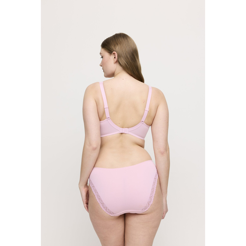 Rioslip in het Spring rose