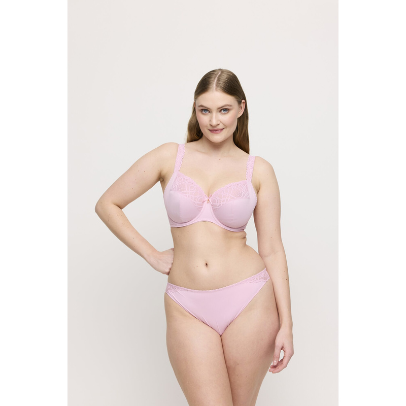 String en Spring rose