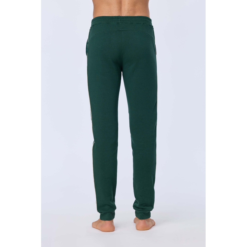 Broek en Dennengroen