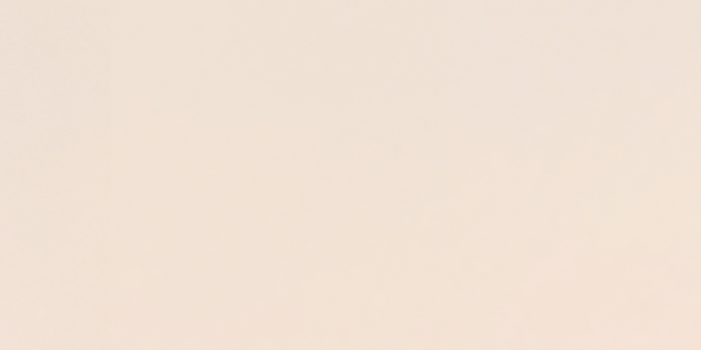 SpringdalePDLingerieB.png